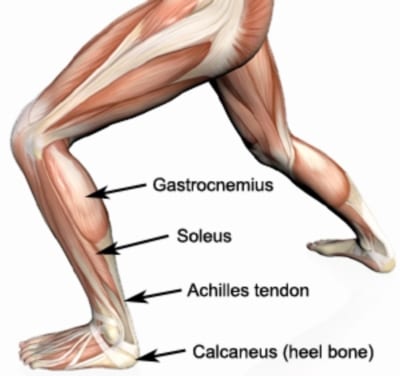 Pain in lower on sale calf and achilles tendon